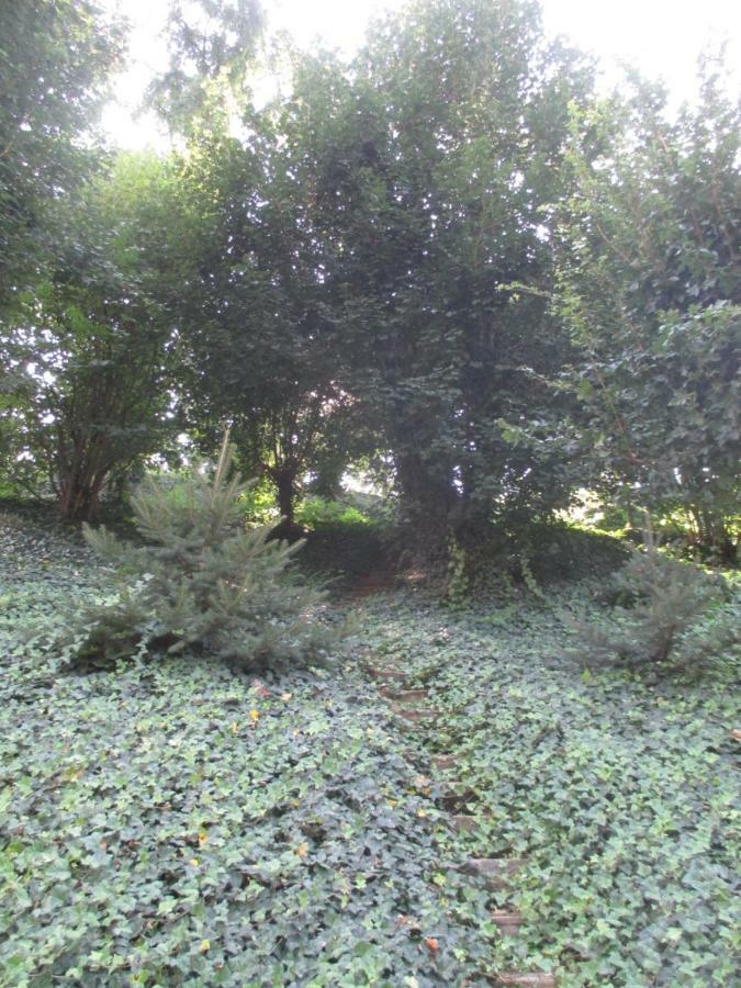 Stadtoase Meißen 外观 照片